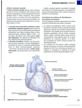 Grays anatomie