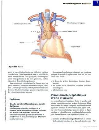 Grays anatomie