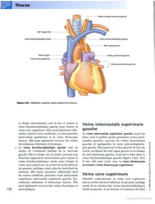 Grays anatomie