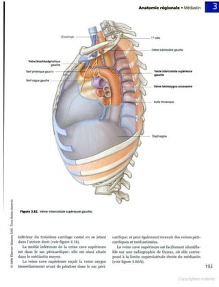 Grays anatomie