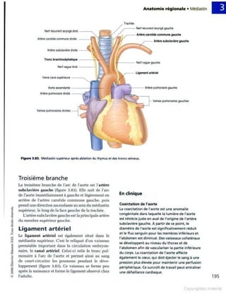 Grays anatomie