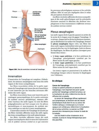 Grays anatomie