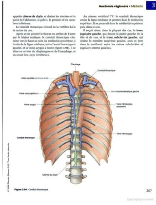Grays anatomie