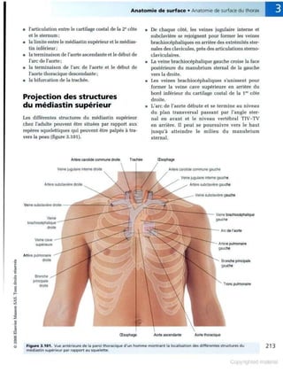 Grays anatomie