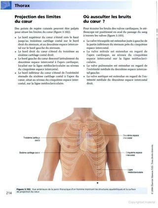 Grays anatomie