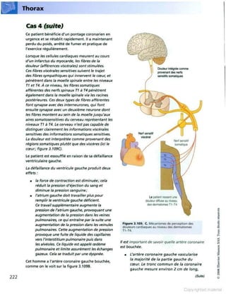 Grays anatomie