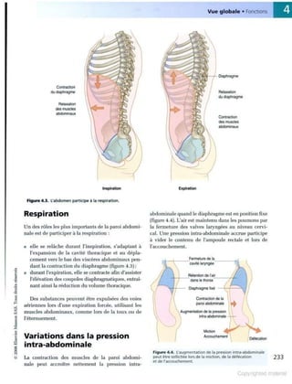 Grays anatomie