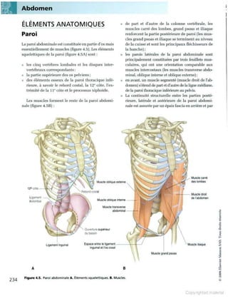 Grays anatomie