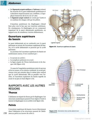 Grays anatomie