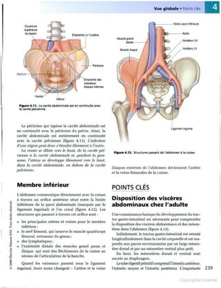 Grays anatomie