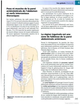 Grays anatomie