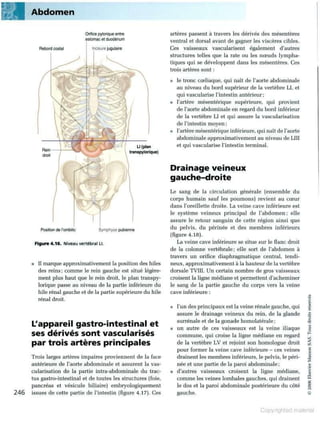 Grays anatomie