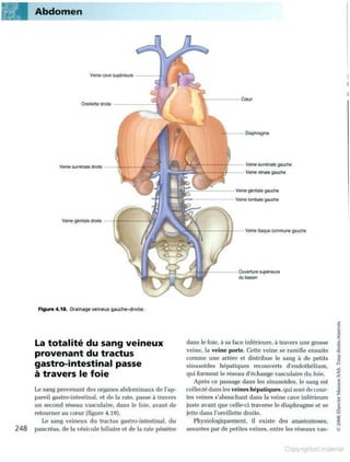 Grays anatomie