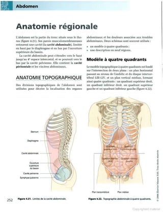 Grays anatomie