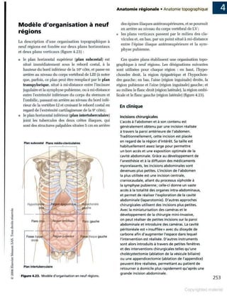 Grays anatomie