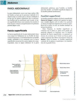 Grays anatomie