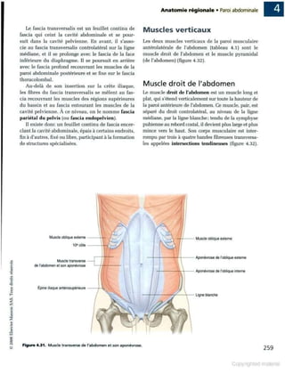 Grays anatomie