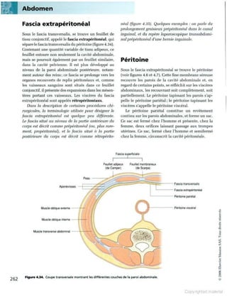 Grays anatomie
