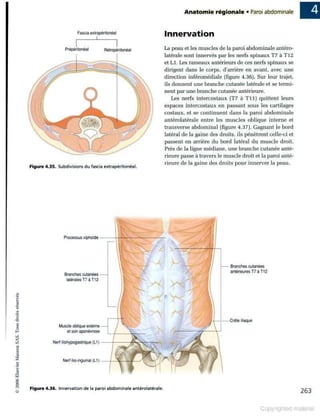 Grays anatomie