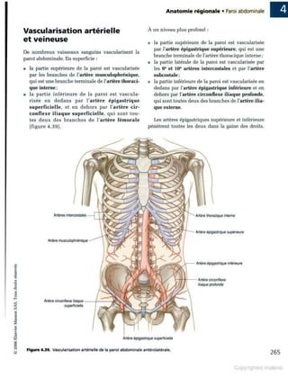 Grays anatomie