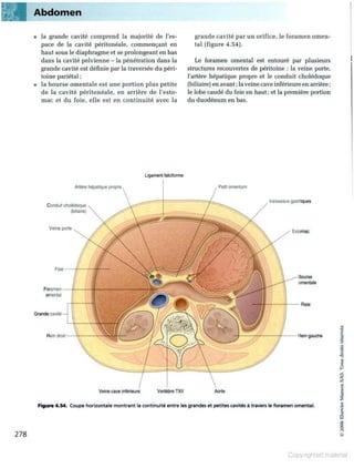 Grays anatomie