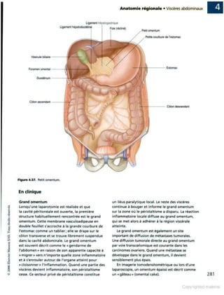 Grays anatomie
