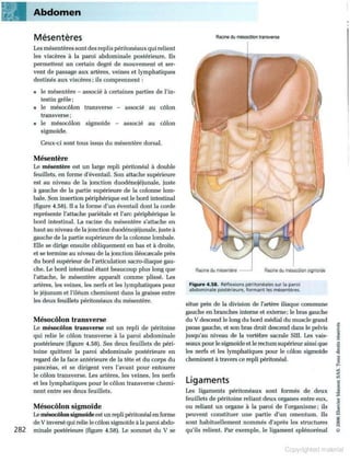 Grays anatomie