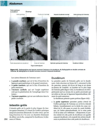 Grays anatomie
