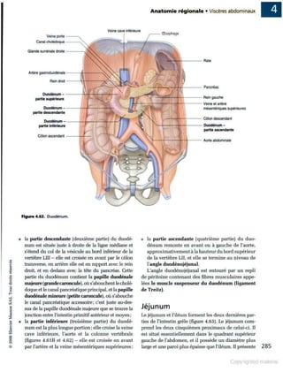 Grays anatomie