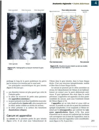 Grays anatomie