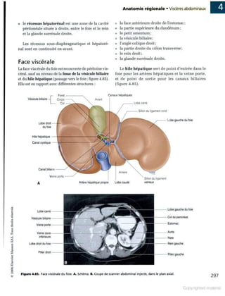 Grays anatomie