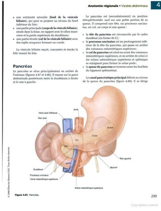 Grays anatomie