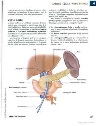 Grays anatomie