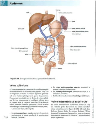 Grays anatomie