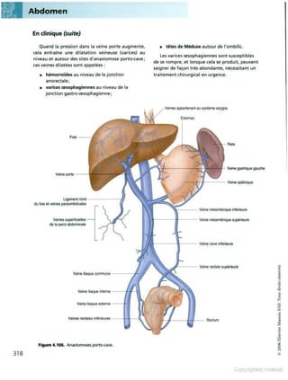 Grays anatomie