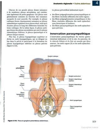 Grays anatomie