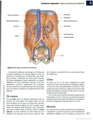 Grays anatomie