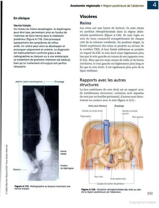 Grays anatomie