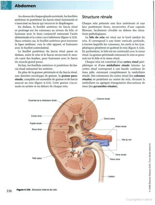 Grays anatomie