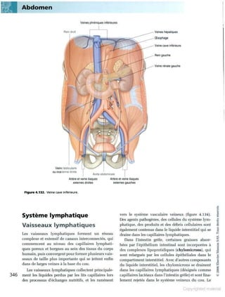 Grays anatomie