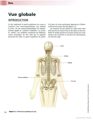 Grays anatomie