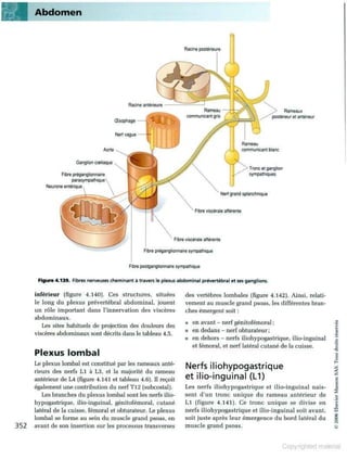 Grays anatomie