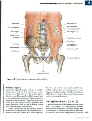 Grays anatomie
