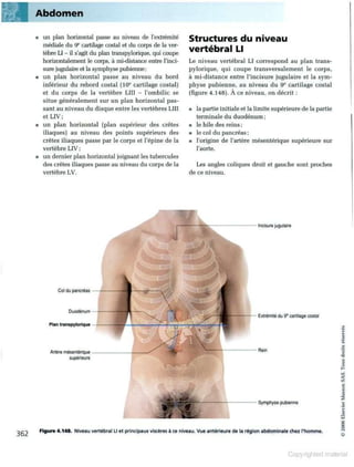 Grays anatomie