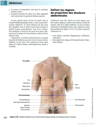 Grays anatomie