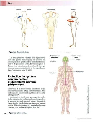 Grays anatomie