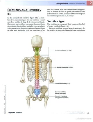 Grays anatomie