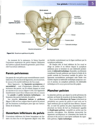 Grays anatomie