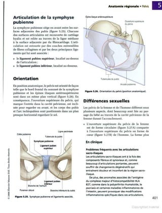 Grays anatomie