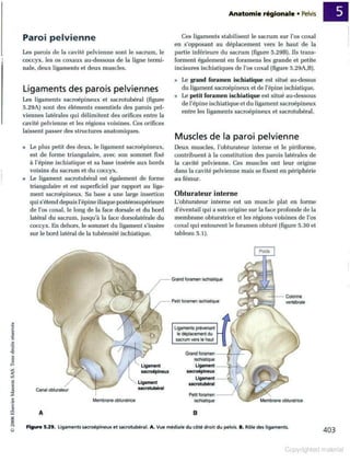 Grays anatomie